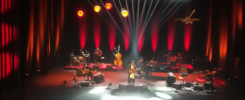 calvinisas-tenco-2019-3